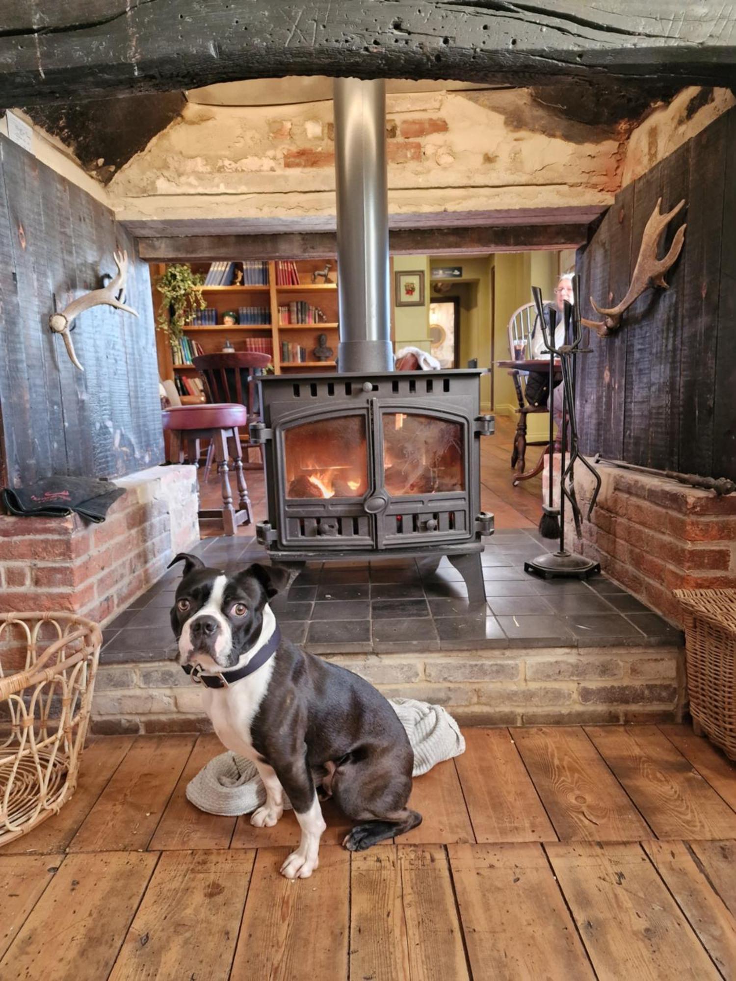 The Duke On The Test Bed & Breakfast Romsey Exterior photo