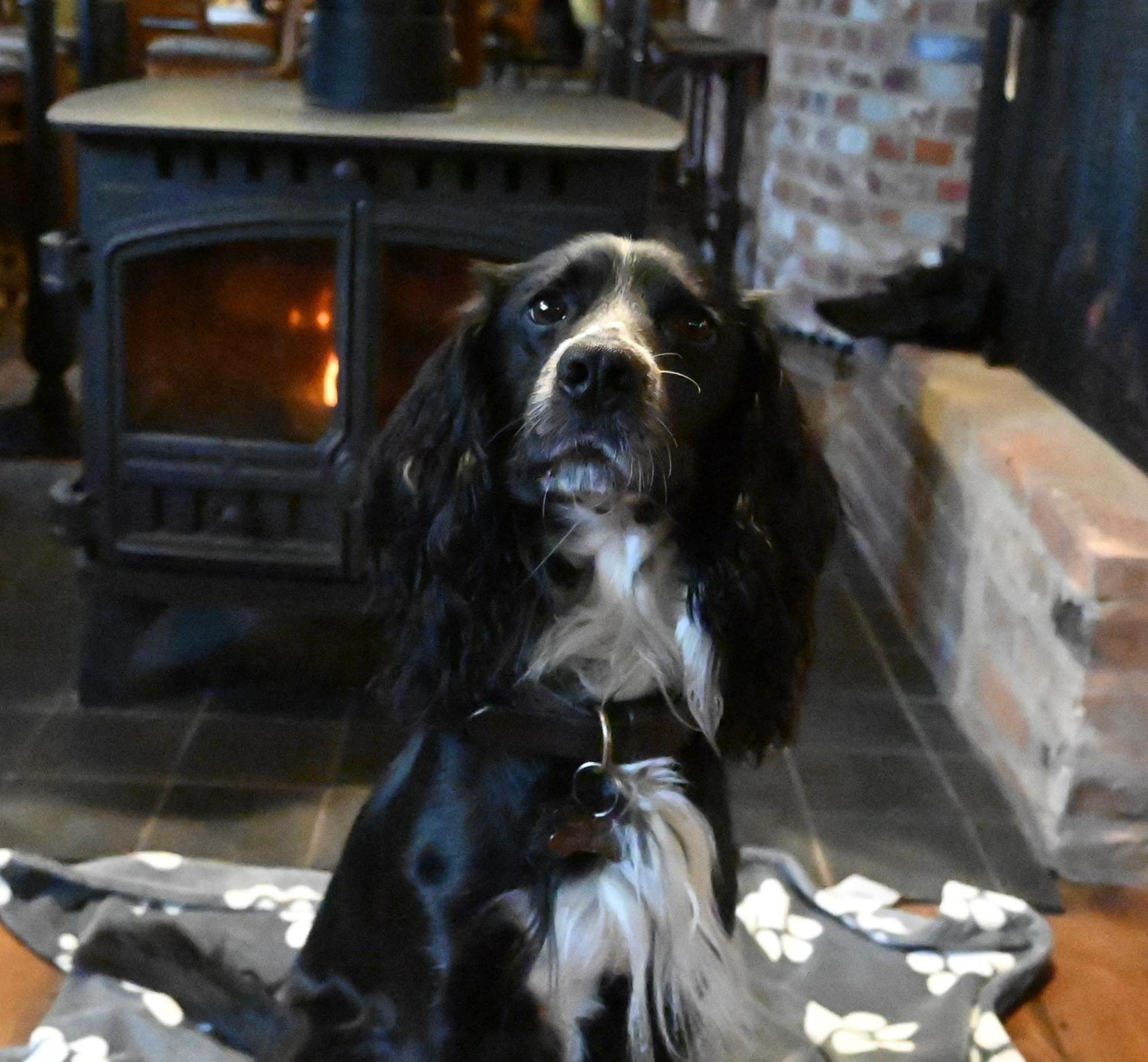 The Duke On The Test Bed & Breakfast Romsey Exterior photo